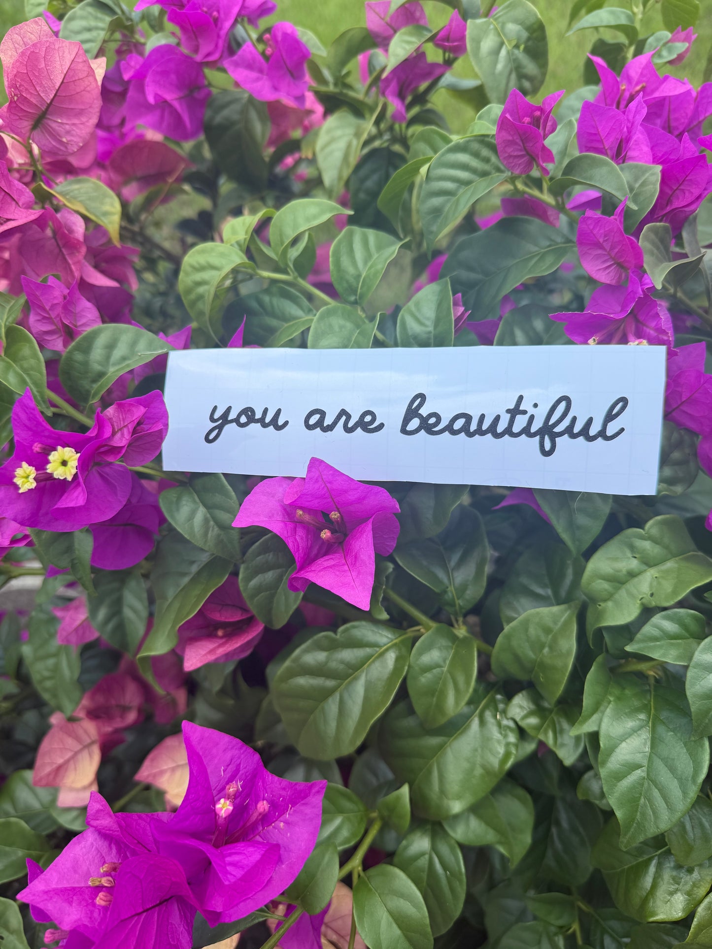You are Beautiful decal